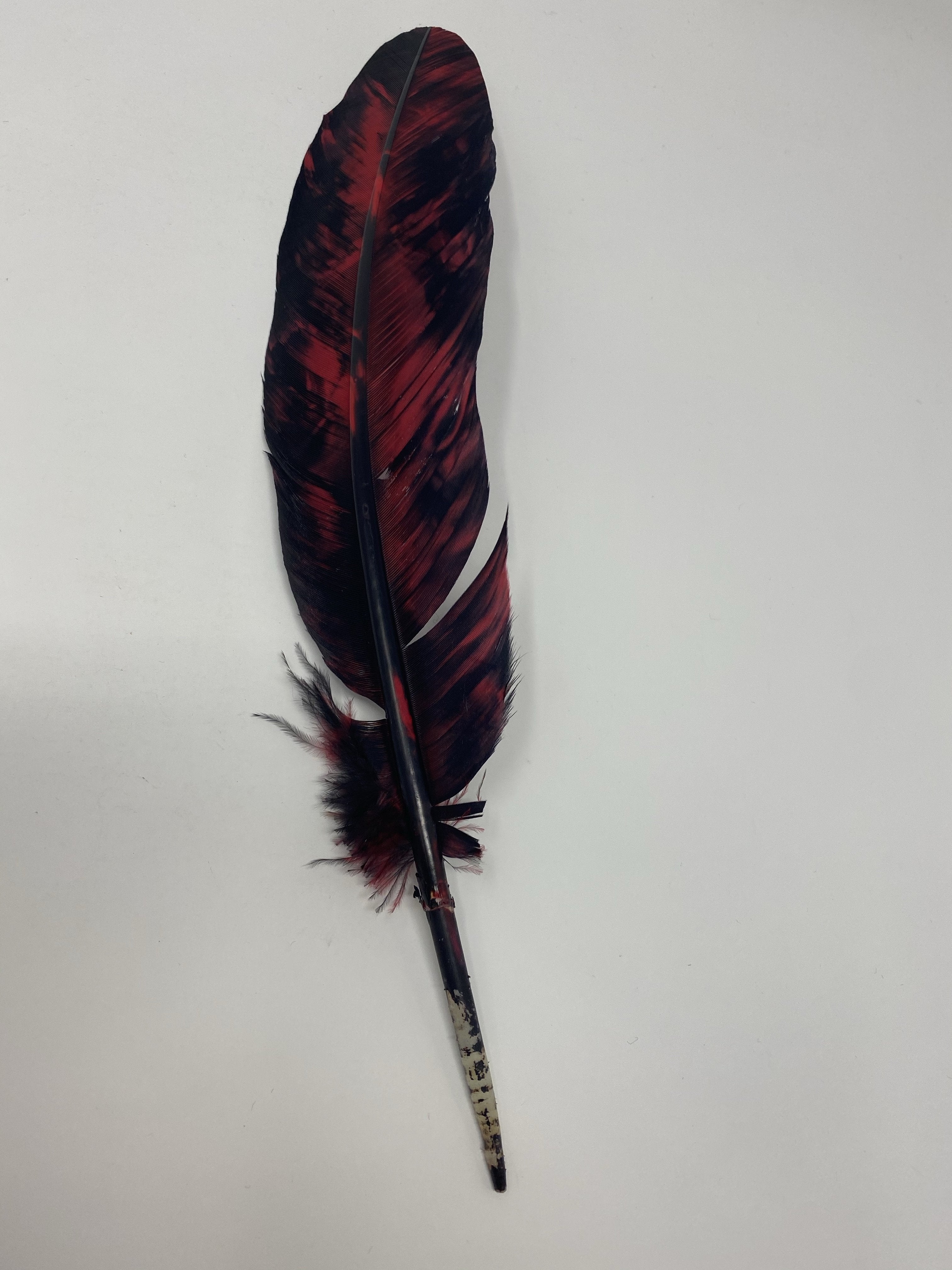 TURKEY FEATHERS 6 feathers BLACK BASE WITH GLOSS RED TIP [USA seller]